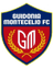 Guidonia logo - Int Cf 31789 Football Score