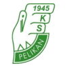 Pelikan Lowicz logo