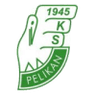 Pelikan Lowicz logo