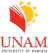 UNAM Bokkies FC (W) logo