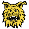 Ilves Tampere II logo