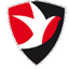 Cheltenham Town Women logo