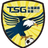 Tainan City Green logo