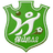 Baoshan Team logo - Yunnan League 36720 Sport
