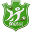 Baoshan Team logo