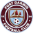 Port Darwin FC logo
