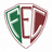 Fluminense PI logo