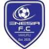 Enesia FC logo - Fc VS Jwaneng Galaxy Result Today