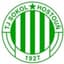 Sokol Hostoun logo
