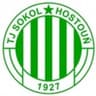 Sokol Hostoun logo