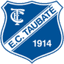 Taubate Youth logo