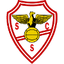 Salgueiros logo