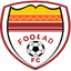 Foolad Novin logo