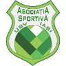 USV Iasi logo