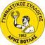 Aris Voulas FC logo