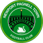 Newport Pagnell Town logo