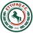 Al-Ettifaq FC logo