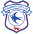 Cardiff City U21 logo