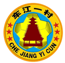 Chejiang 1 Village Football Team logo - Fc VS Chejiang Village Football Team Score