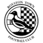 Royston Town (w) logo