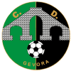 CD Gevora logo - Gevora VS Ud Playas De Sotavento Live Score Today