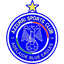 Adelaide Blue Eagles logo