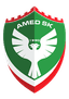 Amedspor U19 logo