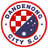 Dandenong City SC logo