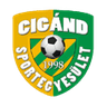 Cigand SE logo