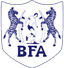 Botswana logo