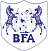 Botswana logo