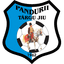 Pandurii Targu Jiu logo