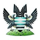Salisbury FC logo - Fc VS Swindon Supermarine Result