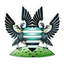 Salisbury FC logo