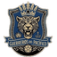 Guerreros del Pacifico II logo