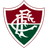 Fluminense RJ U16 logo