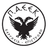 PAEEK logo