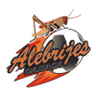 Alebrijes de Oaxaca II logo