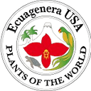 Ecuagenera logo - Ecuagenera VS Cumbaya Fc Sport