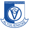 VSG Altglienicke logo