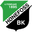 Honefoss Women logo