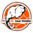 San Pedro FC logo - Caf Confederation Cup 32455 Football Result