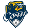 FC Sochi Women logo