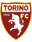 Torino FC Youth logo