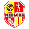 Meblorz Swarzedz logo