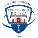 CS Tricolorul Breaza logo - Baicoi VS Cs Tricolorul Breaza Live Score