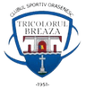 CS Tricolorul Breaza logo
