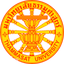 Thammasat University logo