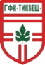 GFK Tikvesh U19 logo