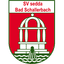 Bad Schallerbach logo